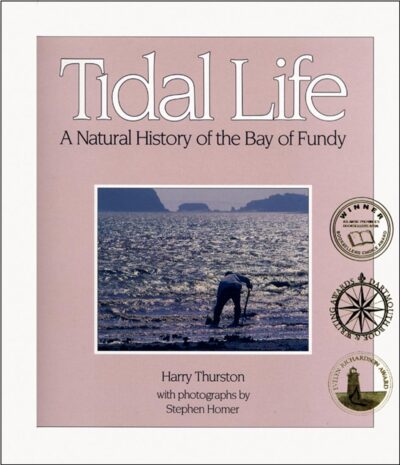 Tidal Life