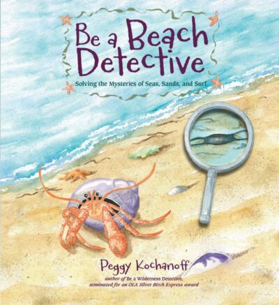 Be a Beach Detective Solving the Mysteries of Lakes, Swamps, and Pools