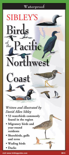 Sibley’s Birds of the Pacific Northwest Coast- Folding Guides