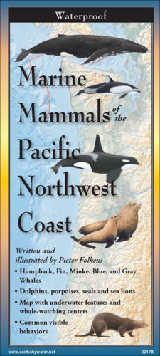 Marine Mammals of the Pacific Northwest Coast – Folding Guide