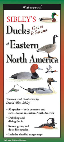 Sibley’s Ducks, Geese & Swans of Eastern North America – Folding Guide