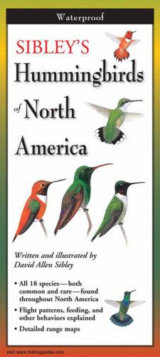 Sibley’s Hummingbirds of North America – Folding Guide