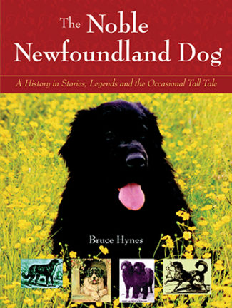 Noble Newfoundland Dog