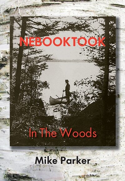 Nebooktook In the Woods