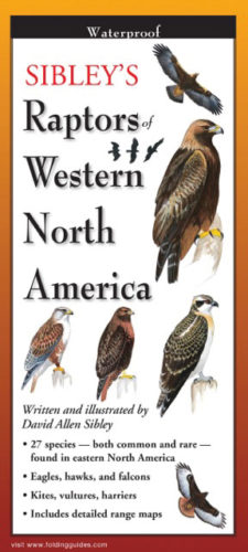 Sibley’s Raptors of Western North America – Folding Guides