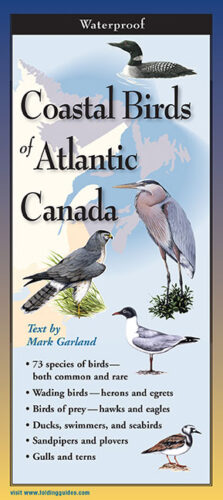 Coastal Birds of Atlantic Canada – Folding Guide