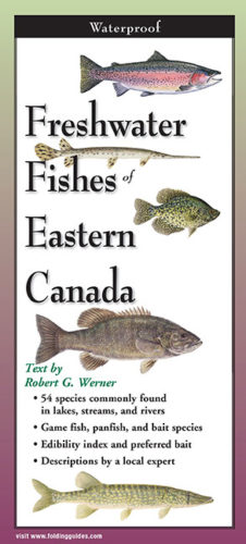 Freshwater Fishes of Eastern Canada – Folding Guide