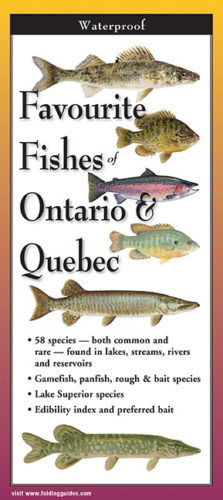 Favourite Fishes of Ontario & Quebec – Folding Guides