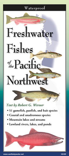 Freshwater Fishes of the Pacific Northwest – Folding Guide