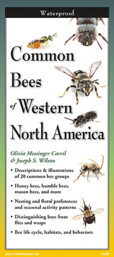 Common Bees of Western North America – Folding Guide