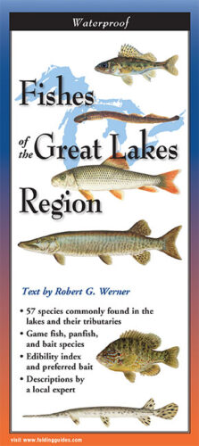 Fishes of the Great Lakes Region-Folding Guide