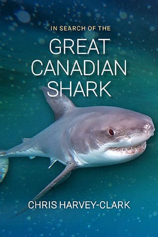 In Search of the Great Canadian Shark cover