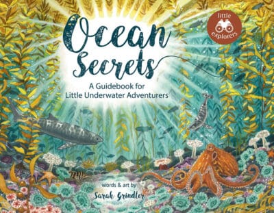 Ocean Secrets A Guidebook for Little Underwater Adventurers