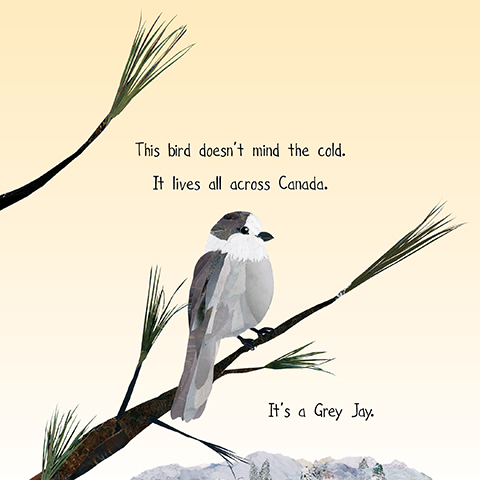 My First Book of Canadian Birds - Image 2