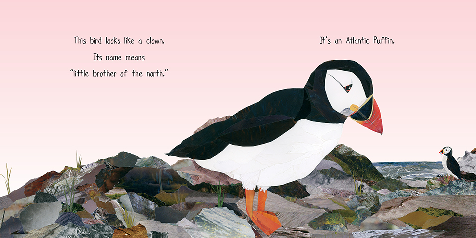 My First Book of Canadian Birds - Image 4