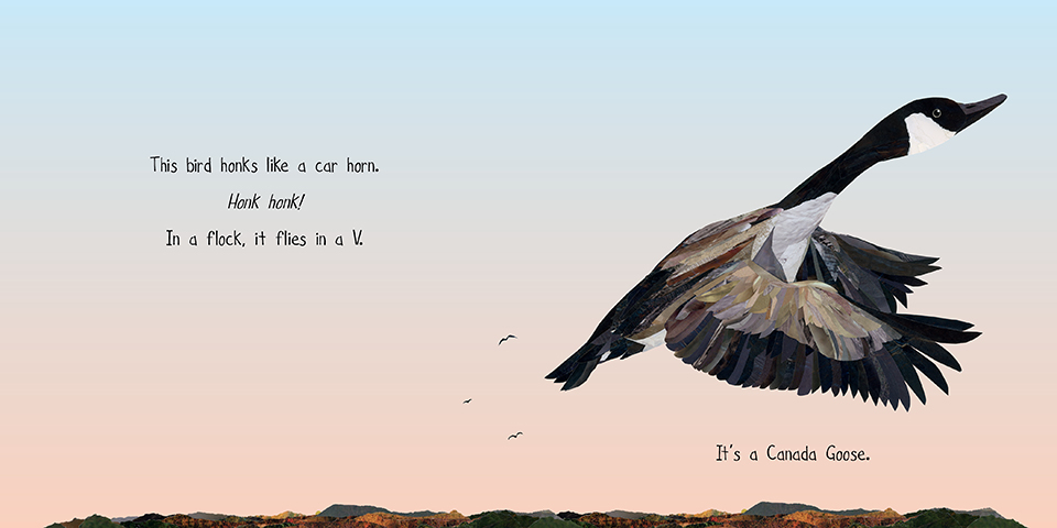 My First Book of Canadian Birds - Image 5